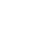 BUNDES LIGA